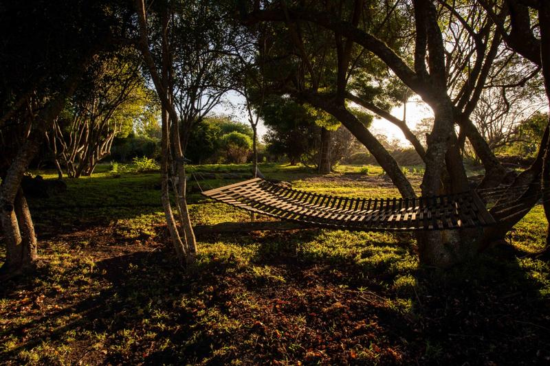 5 Bedroom Property for Sale in The Crags Western Cape